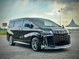 
Toyota Alphard SA Type Gold full									